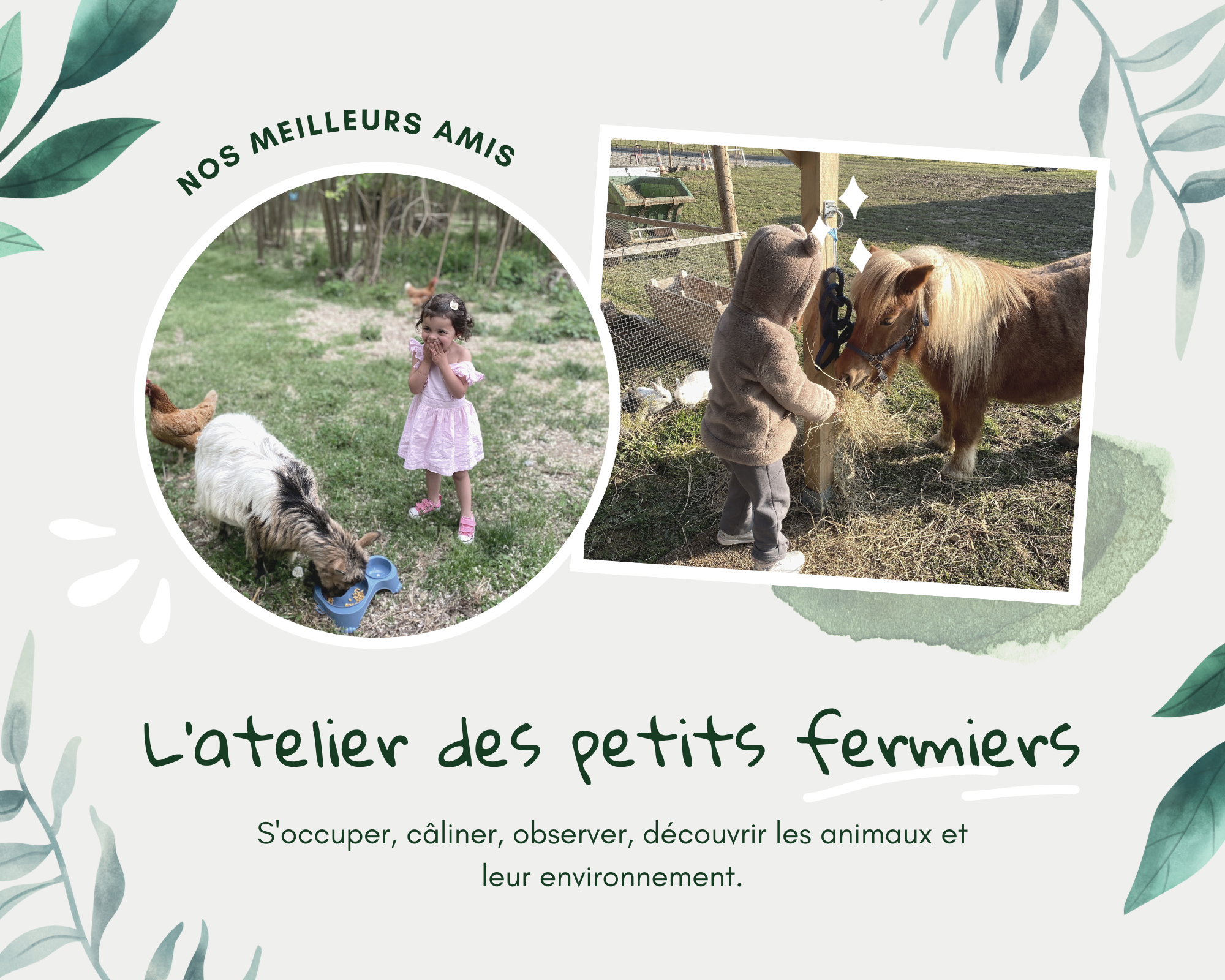 Ateliers des p'tits fermiers 2