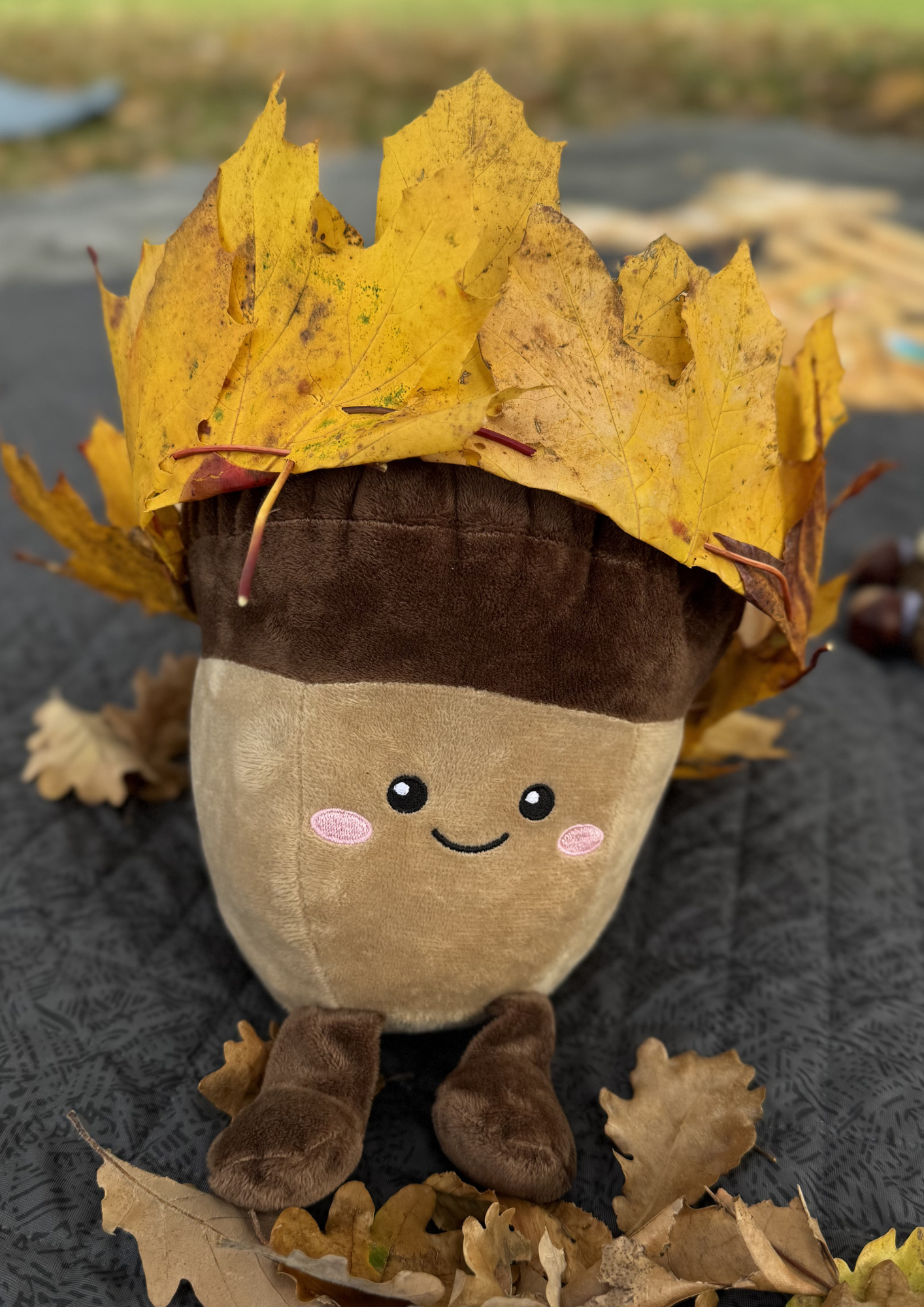 formation petite enfance nature en extérieur