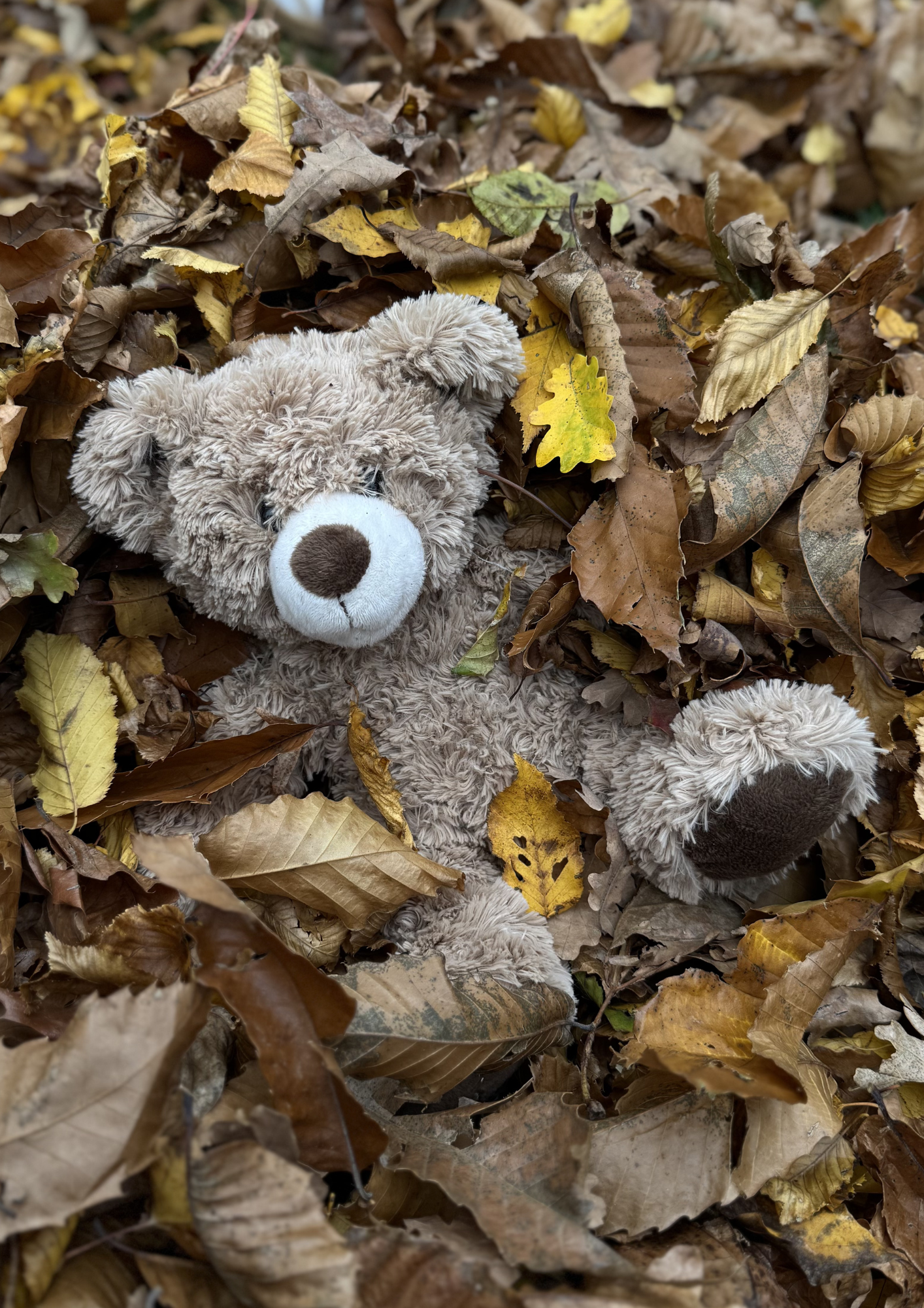 formation petite enfance nature en extérieur