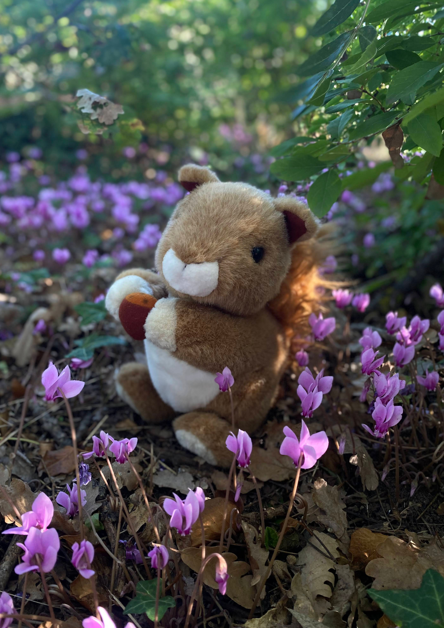 formation petite enfance nature en extérieur